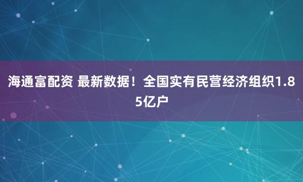 海通富配资 最新数据！全国实有民营经济组织1.85亿户
