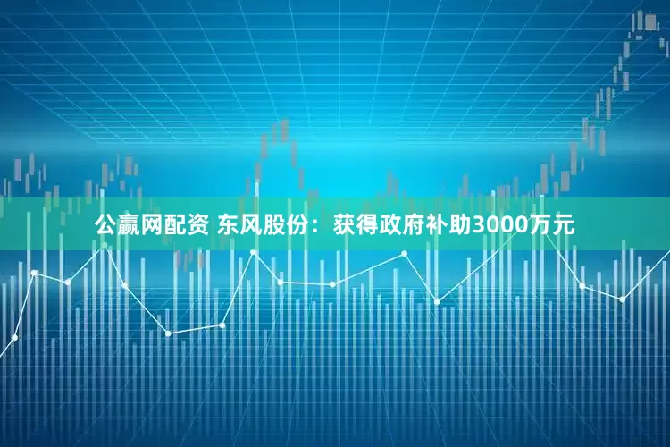 公赢网配资 东风股份：获得政府补助3000万元